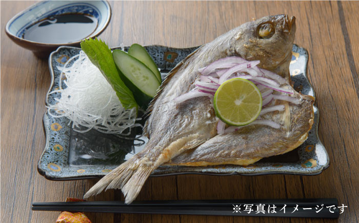 人気   うに ウニ 雲丹  新鮮 海鮮 特産品 贈り物 ギフト   魚介