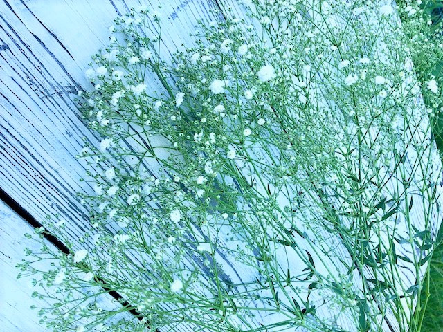 画像はイメージです。実際と異なる場合があります。