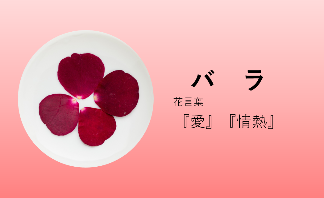 エディブルフラワー　バラ