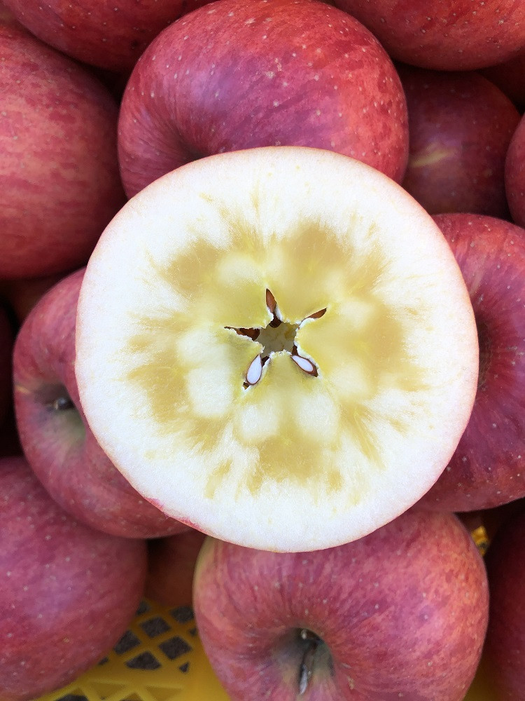 すべてのサンふじに蜜があるわけではありませんが…おいしいサンふじです！