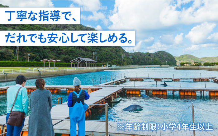 体験 いるか イルカ トレーナー ふれあい 海 マリンスポーツ チケット