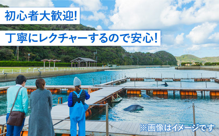 体験 SUP サップ マリンスポーツ アクティビティ アクティビティー チケット