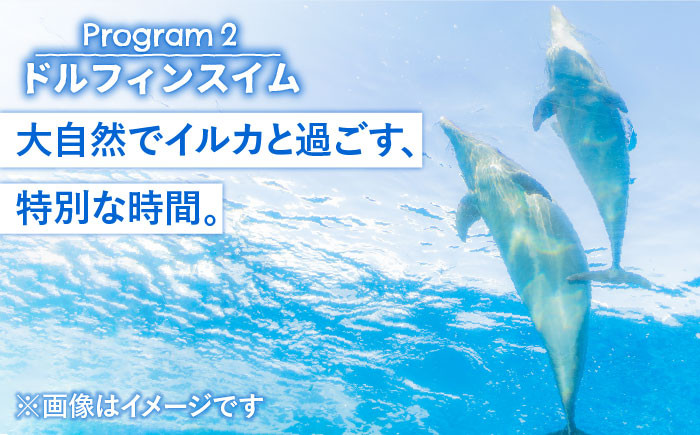 宿泊券 1泊2日 旅行券 チケット 体験 マリンスポーツ アクティビティ アクテ