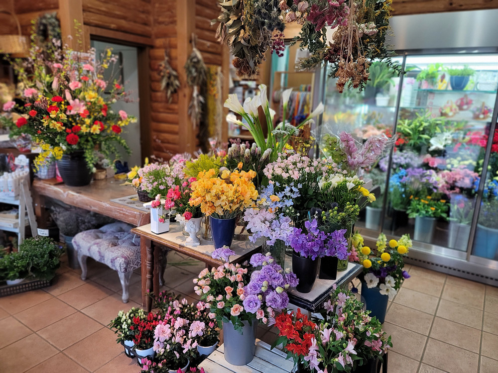 ※画像はイメージです。