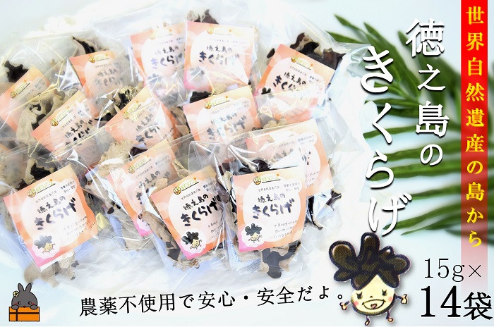 世界自然遺産の島から国産乾燥きくらげをお届けします!