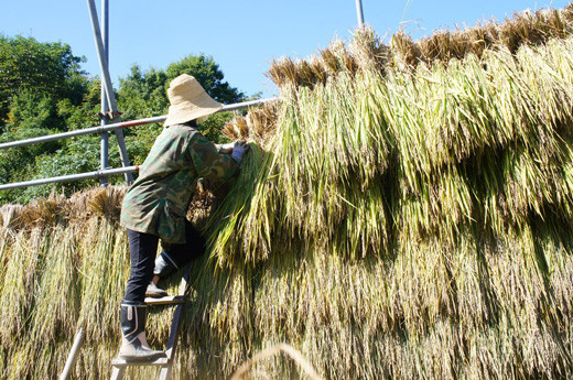 ※画像はイメージです。