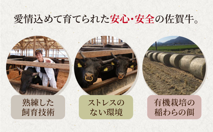 佐賀牛 ロース 牛肉 定期便 焼肉 A5 黒毛和牛 佐賀 ギフト キャンプ BBQ a5 A5ランク 定期 3回 3ヶ月