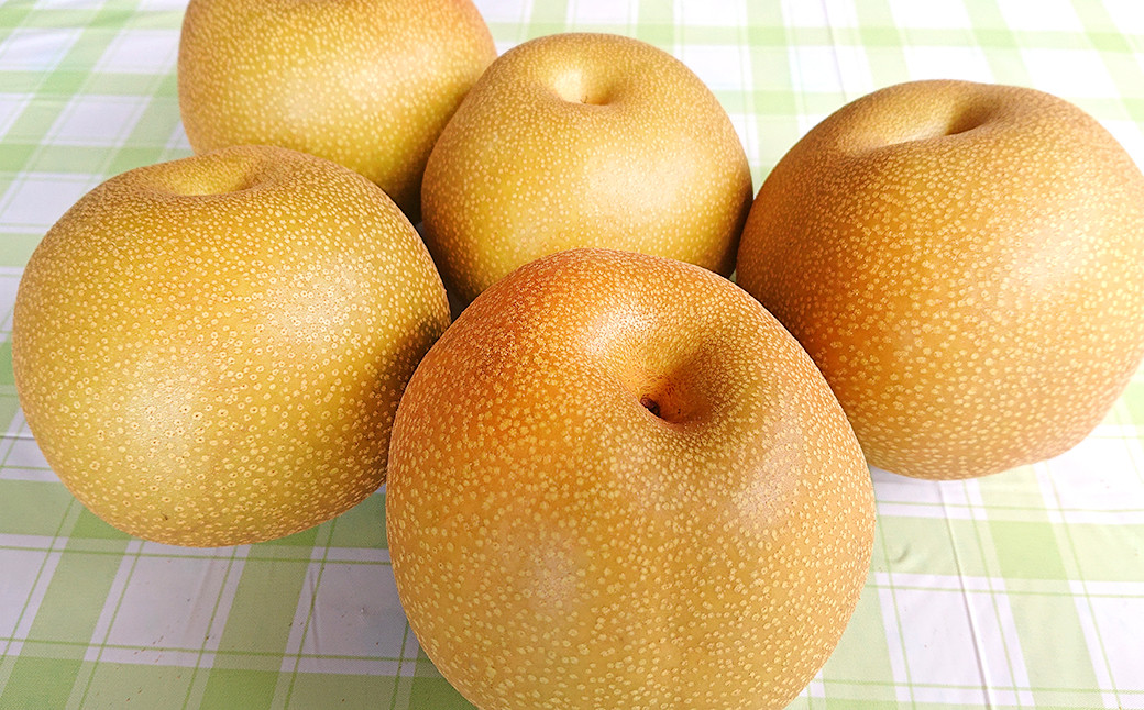 九重町産 梨 約5kg 豊水 新高 1種 果物 フルーツ