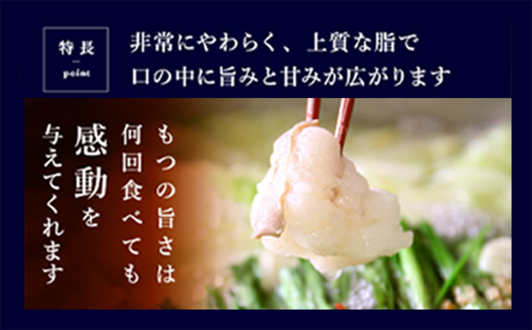 もつ鍋 セット 2~3人前 塩とんこつ 【陽はまたのぼる】