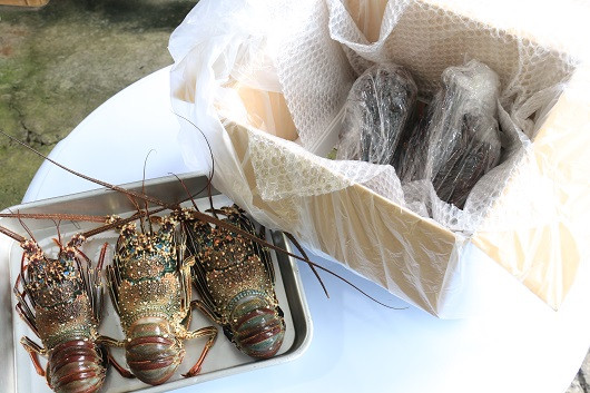 梱包例。袋とラップで巻き、冷凍発送いたします。