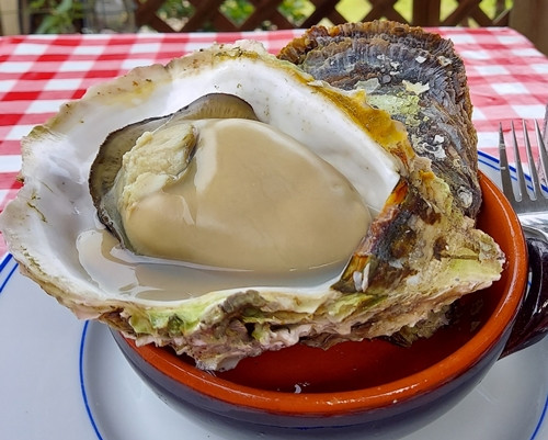 東京都本土の方が寄附可能なので伊豆諸島、小笠原諸島の方は寄附できてしまいますが、キャンセル対象となります、ご了承ください。