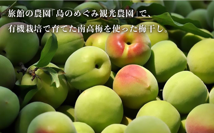 生はちみつ 燻製しょうゆ 梅干しセット  平山旅館 日本蜜蜂 長崎産蜂蜜