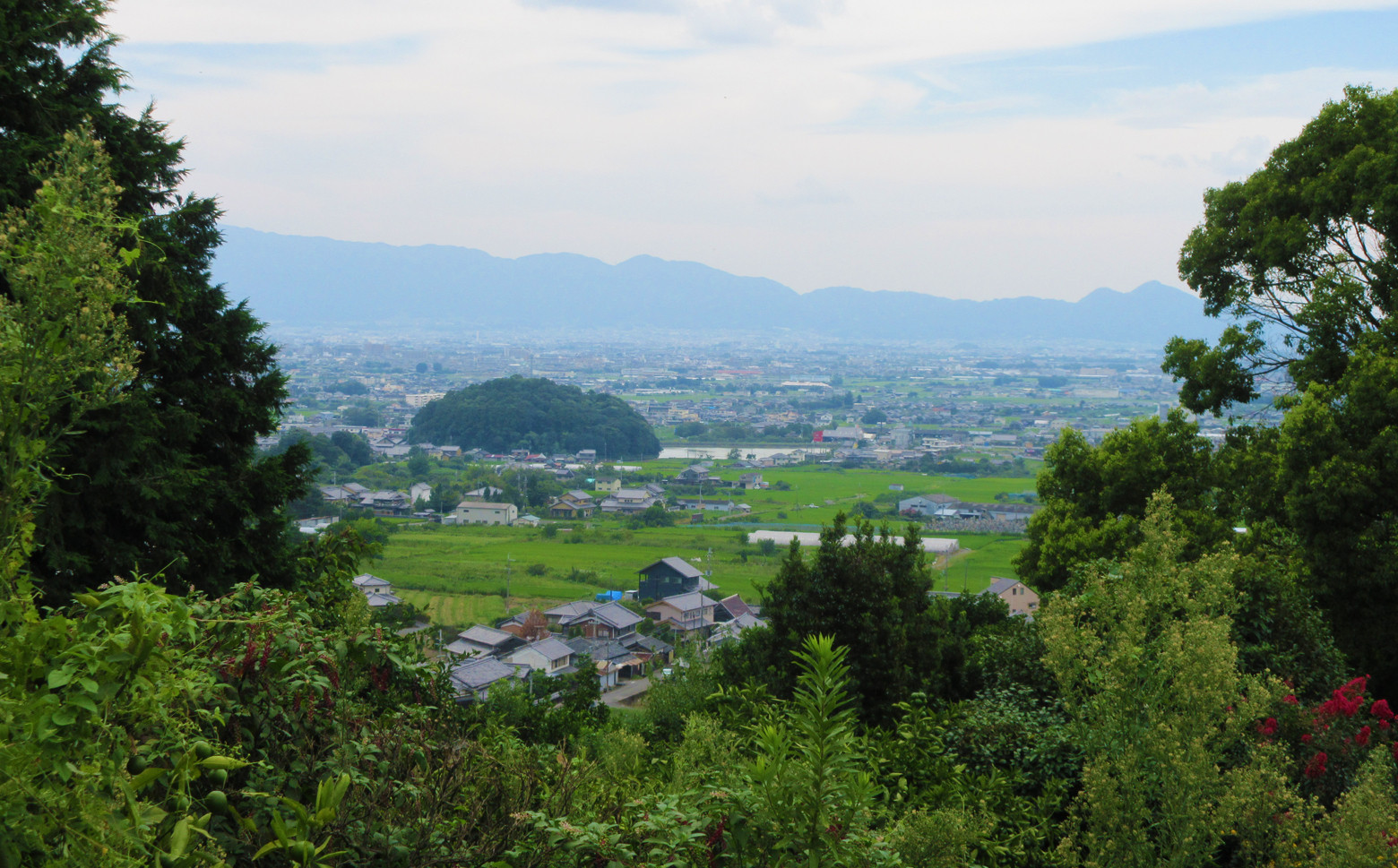 画像はイメージです。