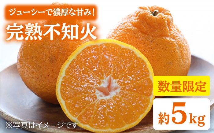 不知火 デコポン 5kg