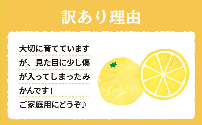 はるか みかん 5kg