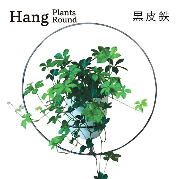 GRAVIRoN Hang Plants シリーズ Triangle/Diamond/Round セット 黒皮鉄