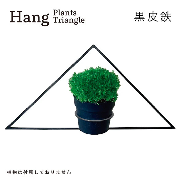 GRAVIRoN Hang Plants シリーズ Triangle/Diamond/Round セット 黒皮鉄