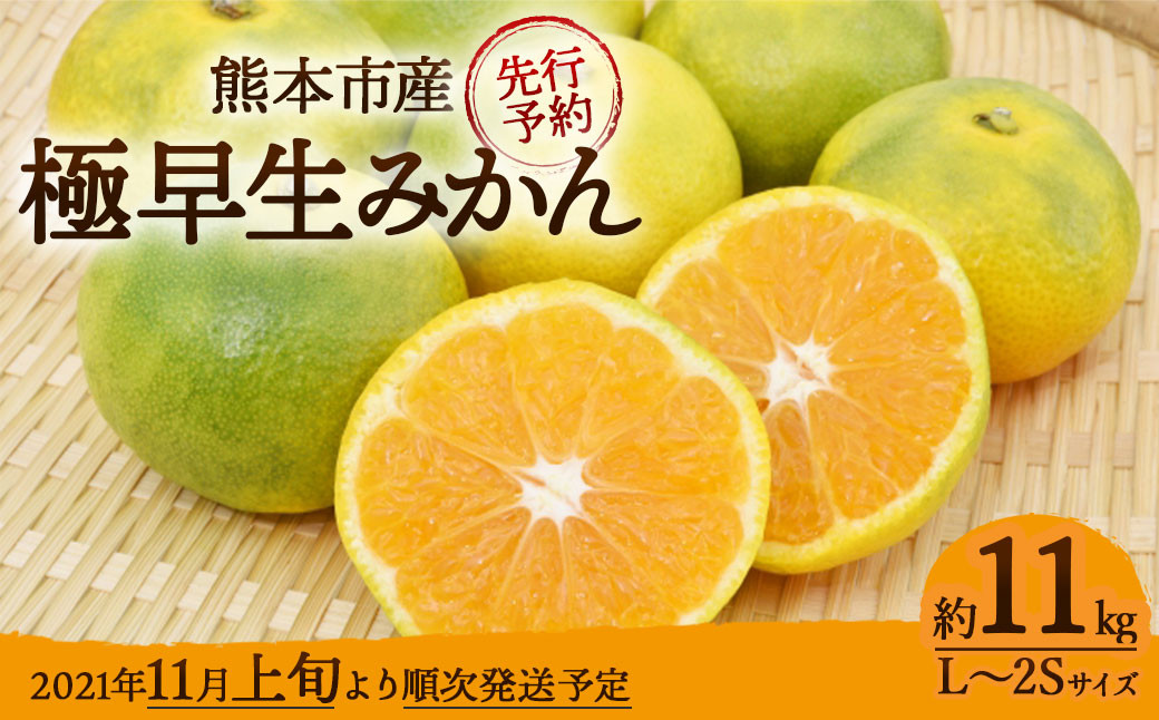 「先行予約」 熊本市産 極早生 みかん 約11kg（L～2Sサイズ） ※2021年11月上旬より順次発送予定