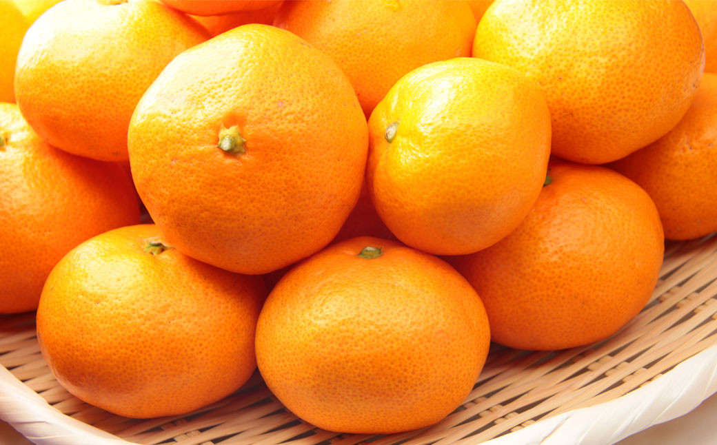 「先行予約」 熊本市産 温州みかん （規格外品） 計12kg（2L～Mサイズ） ※2021年12月上旬より順次発送予定