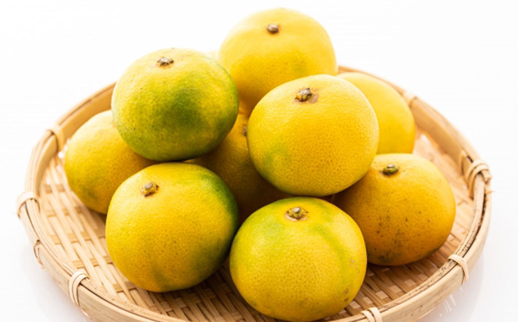 「先行予約」 熊本市産 極早生 みかん 約11kg（L～2Sサイズ） ※2021年11月上旬より順次発送予定