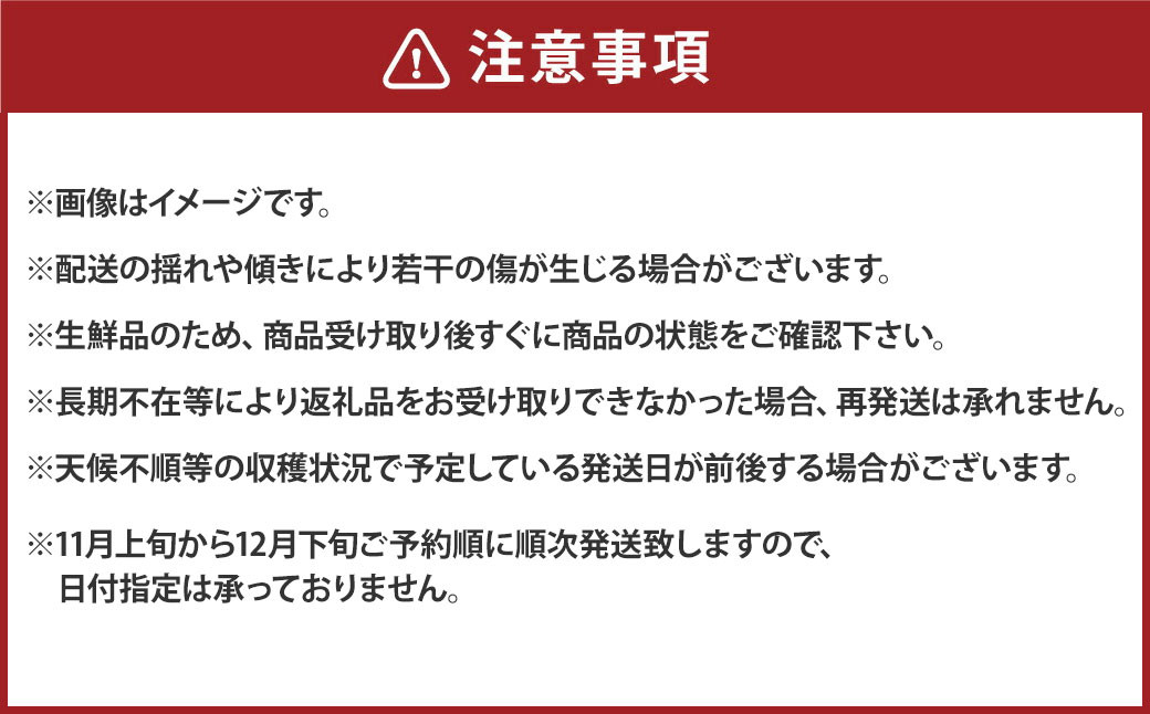 「先行予約」 熊本市産 極早生 みかん 約11kg（L～2Sサイズ） ※2021年11月上旬より順次発送予定
