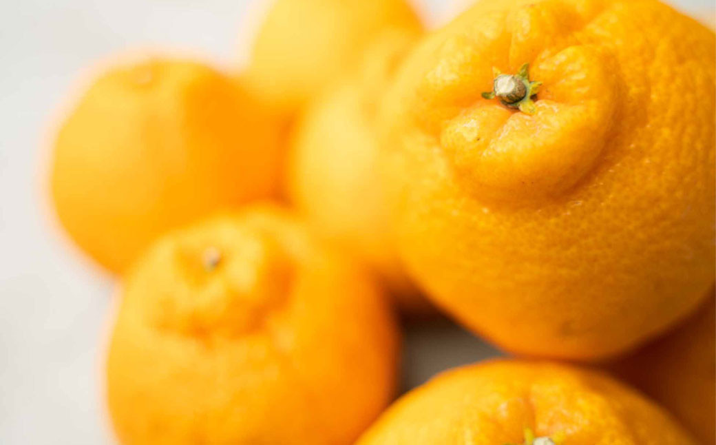 熊本市産 デコポン 約3kg(8～12玉) 