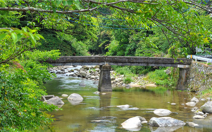 コーヒー 珈琲 コーヒー豆 自家焙煎 大容量
