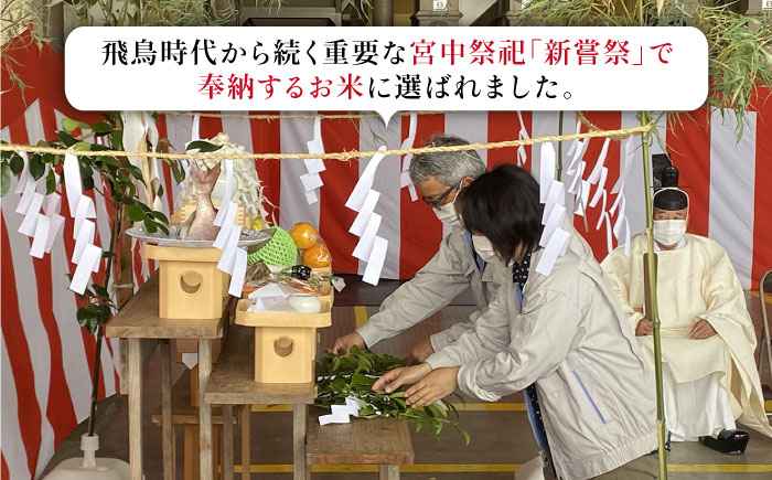 ヒヨクモチ 精米 7kg【かづやの農園】[HAP007]