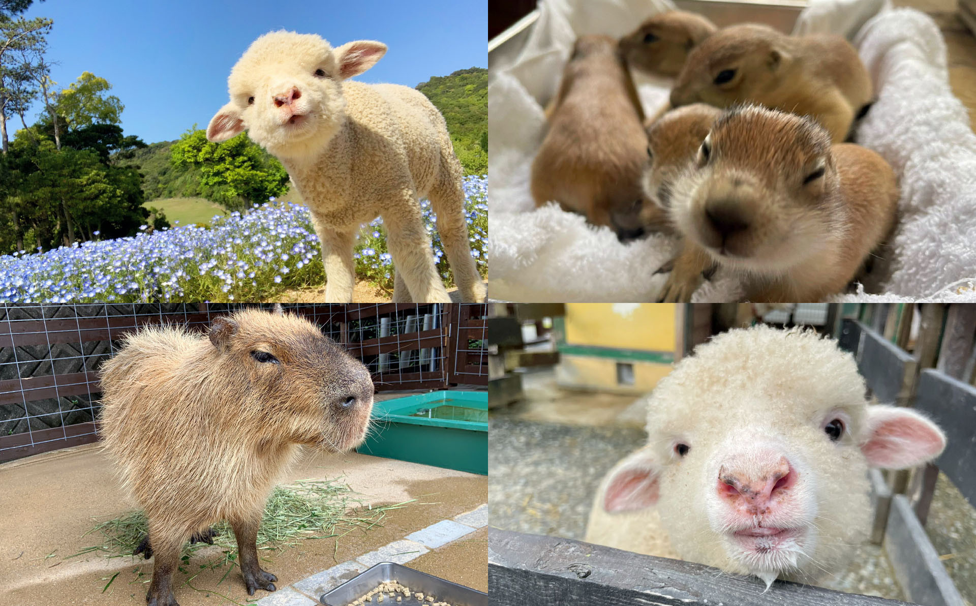 画像はイメージです。