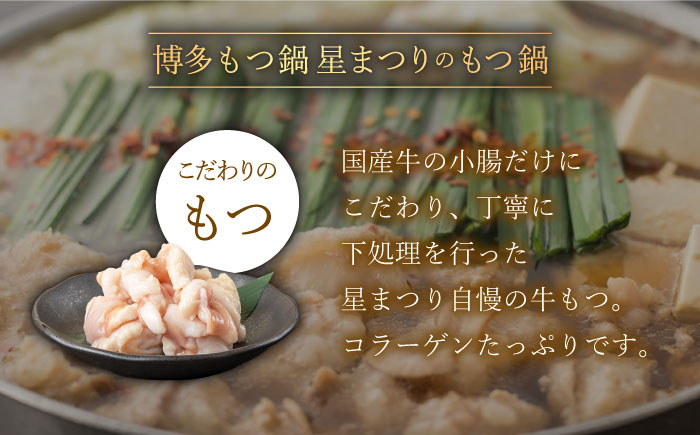 もつ鍋  博多 鍋 もつなべ ホルモン