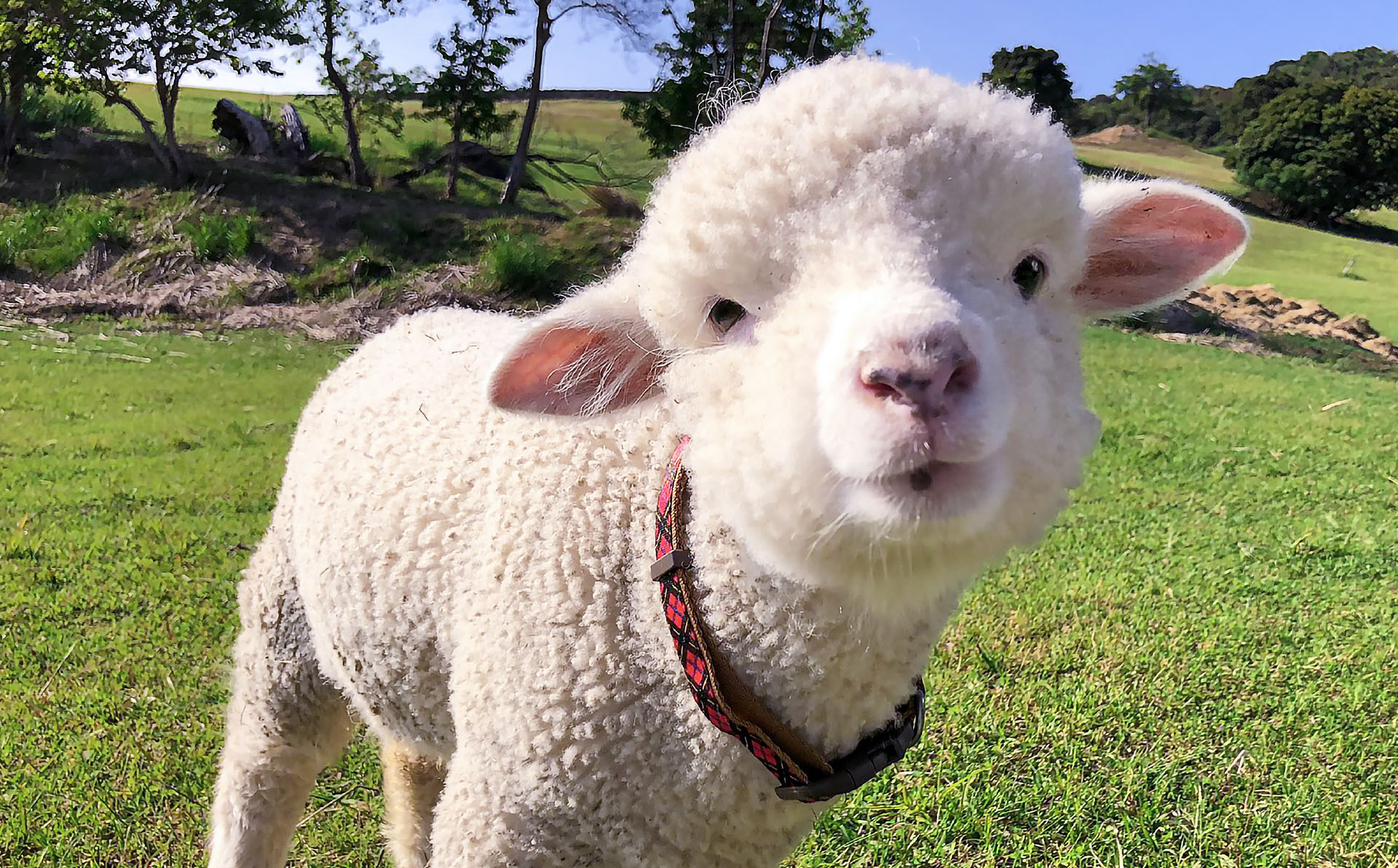 画像はイメージです。