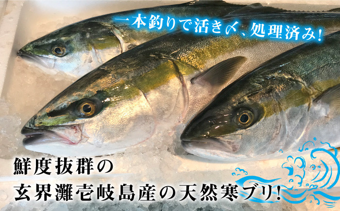 人気  おすすめ オススメ 天然ぶり 天然ブリ 天然鰤 しゃぶしゃぶ ぶりしゃぶ