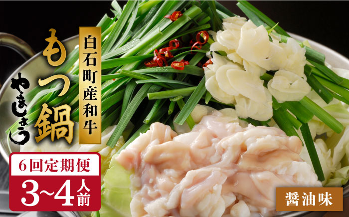 【全6回定期便】『やましょう×白石町産和牛』の本場もつ鍋