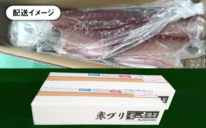 人気  おすすめ オススメ 天然ぶり 天然ブリ 天然鰤 しゃぶしゃぶ ぶりしゃぶ