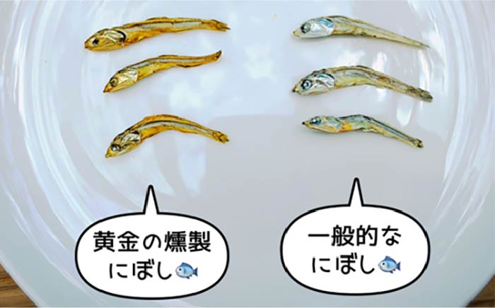 ドッグフード ペットフード 手作りフード