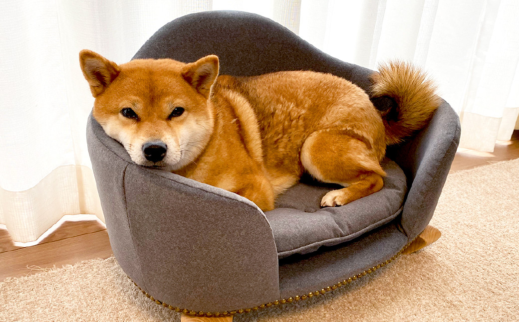 ペットソファ・ロワン・ノルディ 620×430×380mm グレー