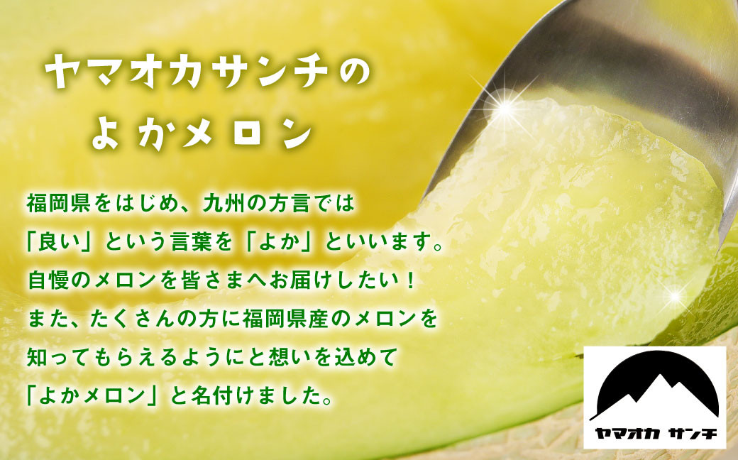 嘉麻市産 よかメロン 青肉 1.5キロ以上×2玉 マスクメロン メロン 果物 フルーツ