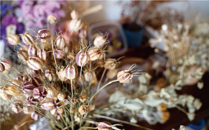 ご家庭に癒しの空間を！