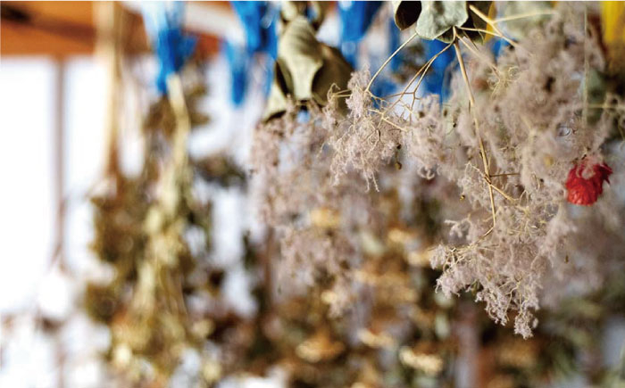 ご家庭に癒しの空間を！