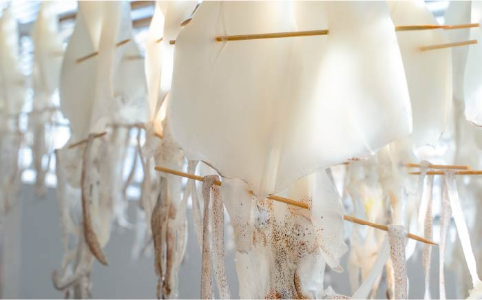 人気 魚介 ごはんのお供 朝食 昼食 夕食 夜食 セット 朝食 昼食 夕食