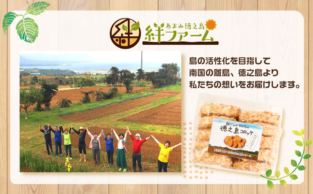 【鹿児島県天城町】徳之島産 新じゃがコロッケ 計80個(10個入り×8袋)じゃがいも 惣菜 おかず