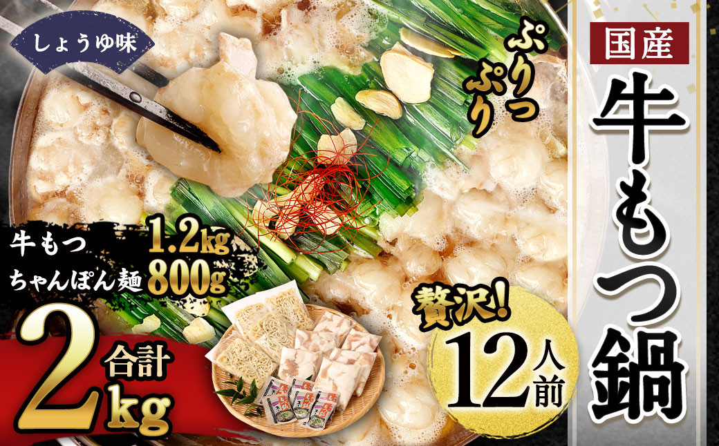 国産牛 もつ鍋 12人前 牛もつたっぷり 1,200g 冷凍ちゃんぽん 濃縮スープ付