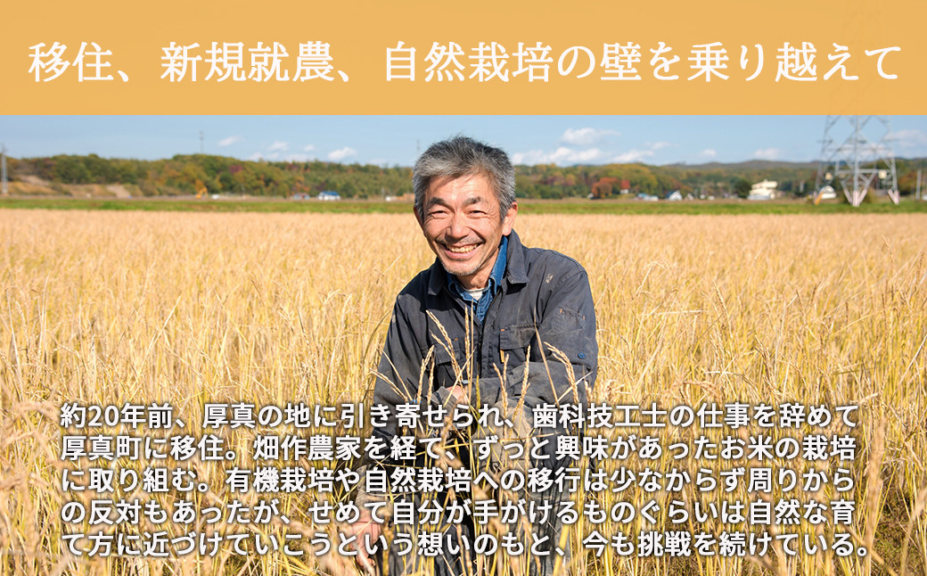 米 お米 玄米 ご飯 北海道 定期便