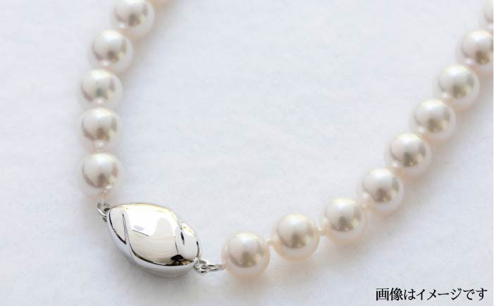 おすすめ オススメ こだわり ギフト 人気 特産品 贈り物 ギフト  