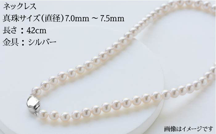 おすすめ オススメ こだわり ギフト 人気 特産品 贈り物 ギフト  