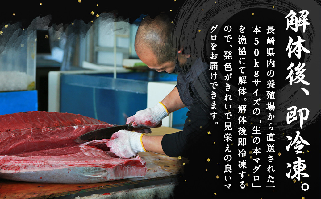 【3ヶ月定期便】長崎県産 本マグロ「中トロ」約700g