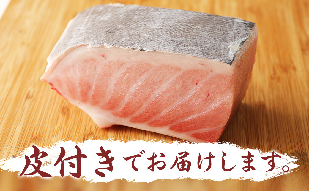 【定期便3回】長崎県産 本マグロ(養殖)大トロ 皮付き 約600g 生食用