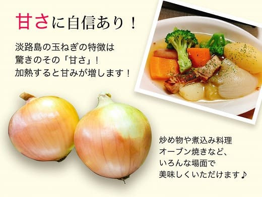 【あさひサンファーム】【大玉10㎏】ひょうご安心ブランド★特別栽培★淡路島たまねぎ