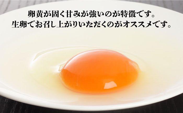 卵 たまご 高級卵 赤玉