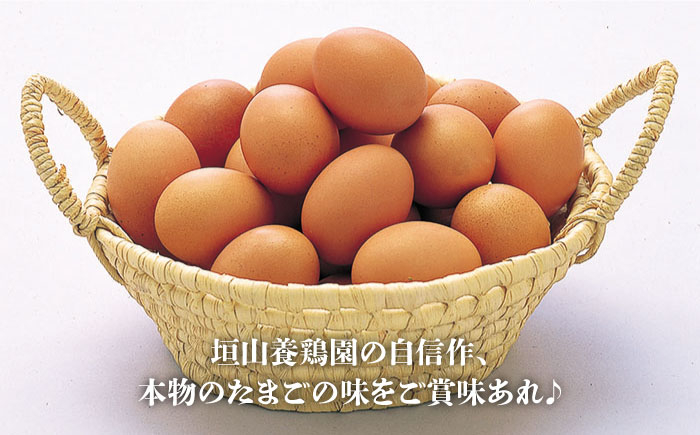 卵 たまご 高級卵 赤玉